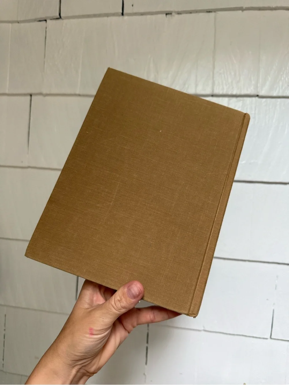 vintage edition of Where the Sidewalk Ends by Shel Silverstein